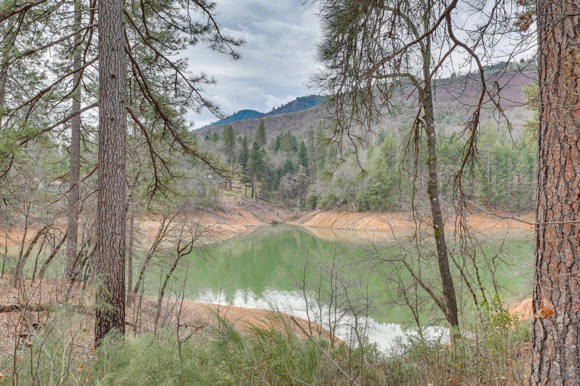 Charming Lakehead Cabin Walk To Shasta Lake! Villa Exterior photo